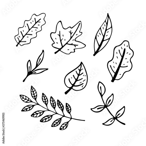 Vector flat illustration autumn leaves outline. Doodle objects are cut out. Background decoration.