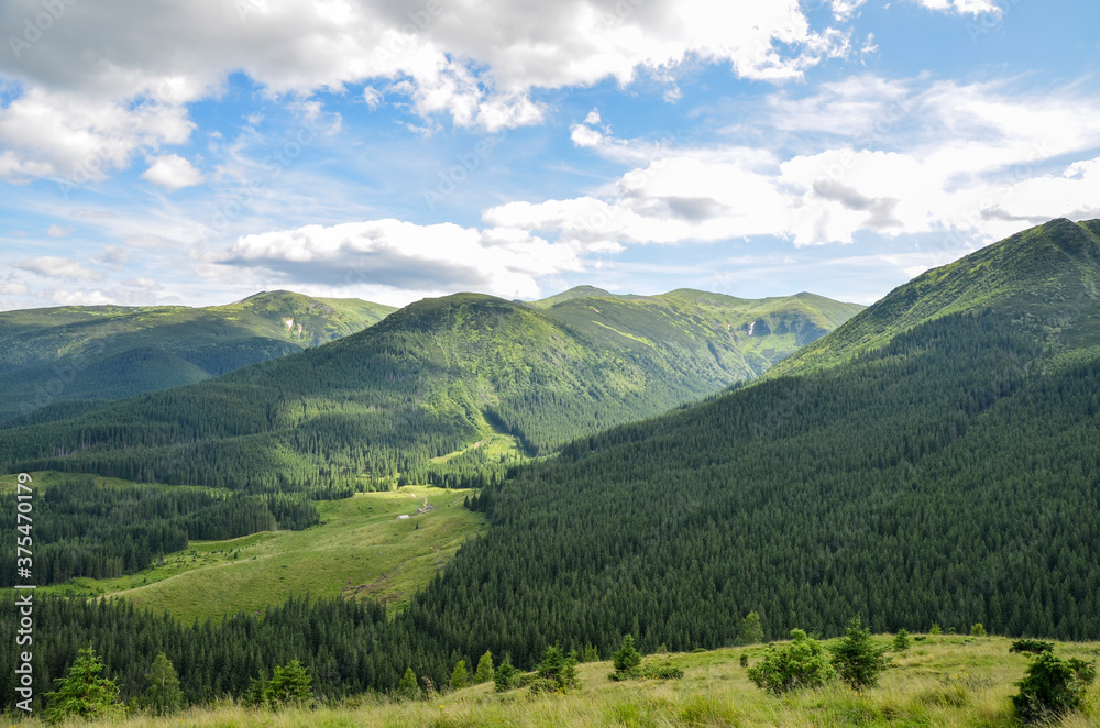 Fototapeta premium View of picturesque landscape with mountains slopes covered in pine forest. Ukraine nature tourism. Holidays in the mountains. Carpathians