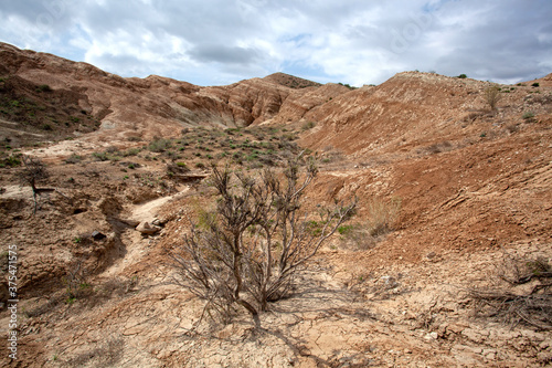 Clay-chalk hills of Kazakhstan with sparse vegetation.