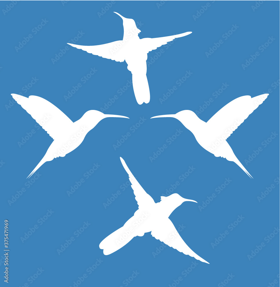 Obraz premium Hummingbird silhouette