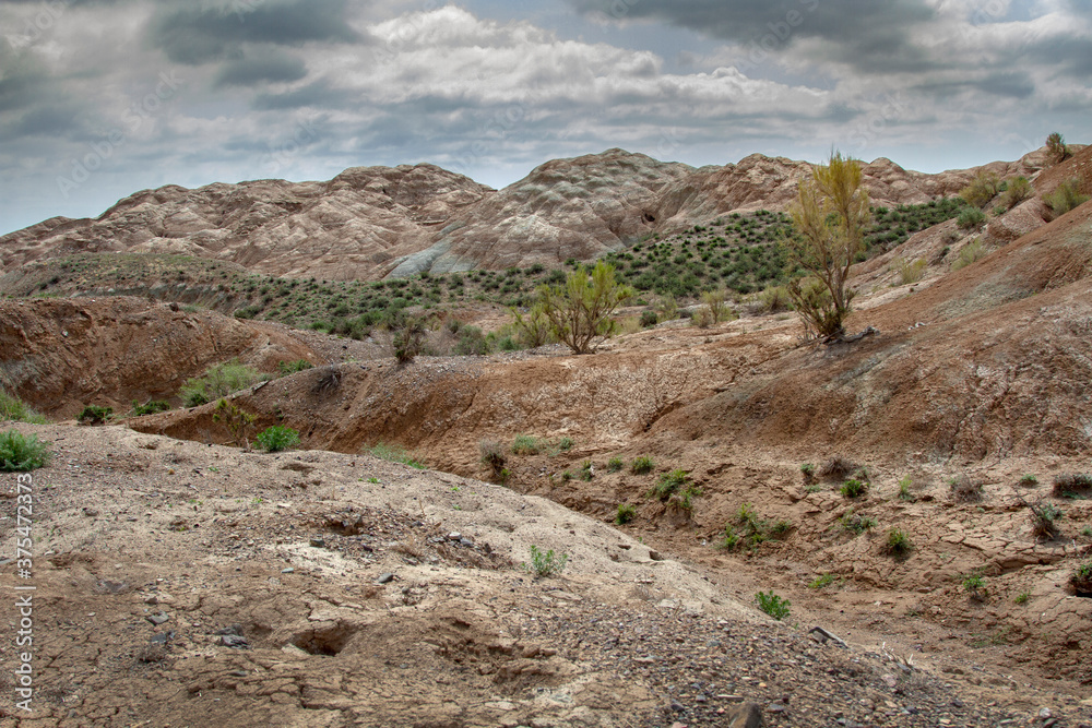 Clay-chalk hills of Kazakhstan with sparse vegetation.