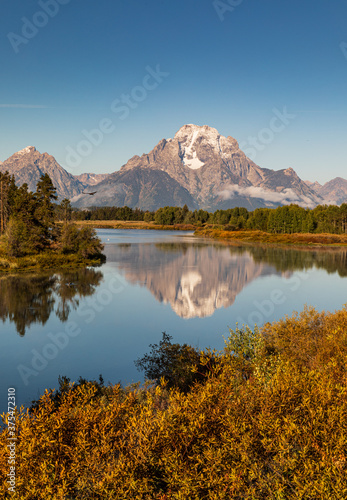 Fototapeta Naklejka Na Ścianę i Meble -  Vertical photo - Hawk flies across the  reflection of mountain in river at Oxbow Bend during Autumn in Grand Teton National Park