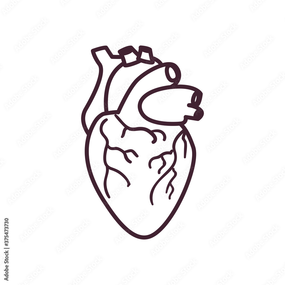 heart line style icon vector design heart line style icon vector design