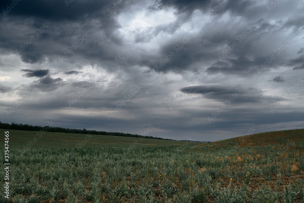 dramatic landscape with grass and dark sky