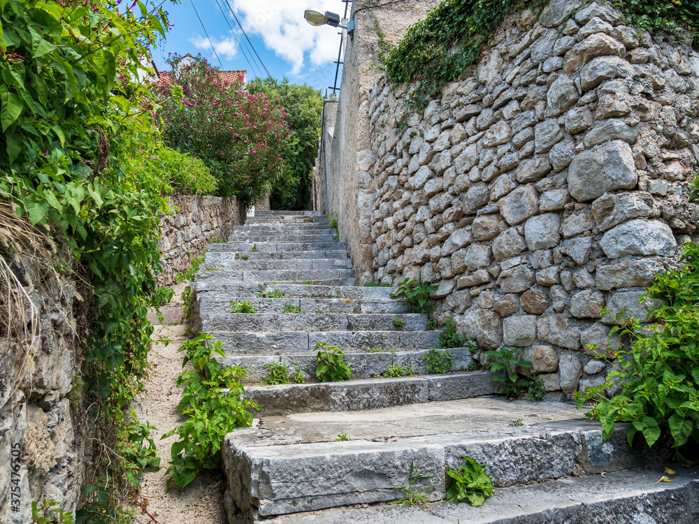 Narrow street with stone buildings, green plant and stairs in Dubrovnik, Croatia