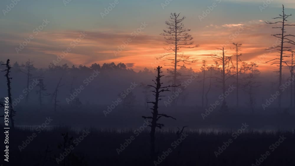 A beautiful time lapse of a sunrise in the foggy bog with sun rising in the right, leaving copy space in the left