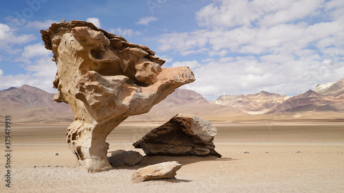 Árbol de Piedra ("stone tree") in Bolivia