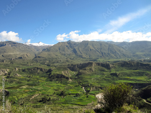 Cultivated Land with many Trees and Vegetation with Various Levels of Irrigation in Arequipa / Peru