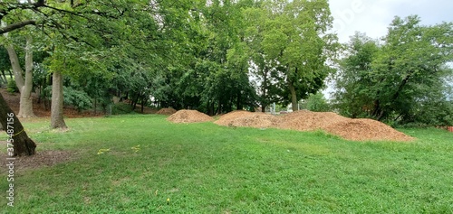 Mulch piles in the park