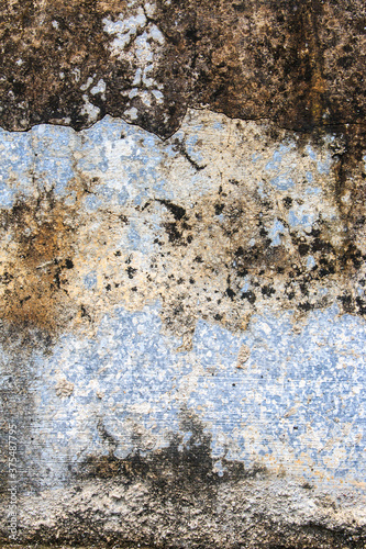 Obraz na płótnie The texture of old wall w salonie
