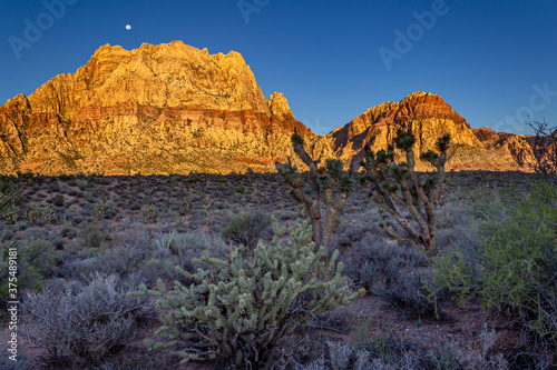 Moon over Red Rocks