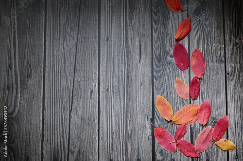 autumn leaves on wooden background