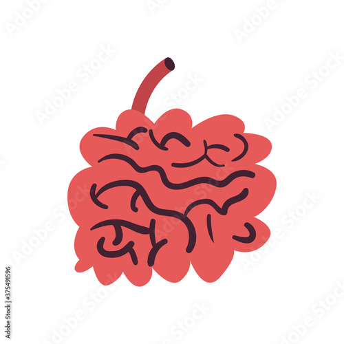 small intestine free form style icon vector design