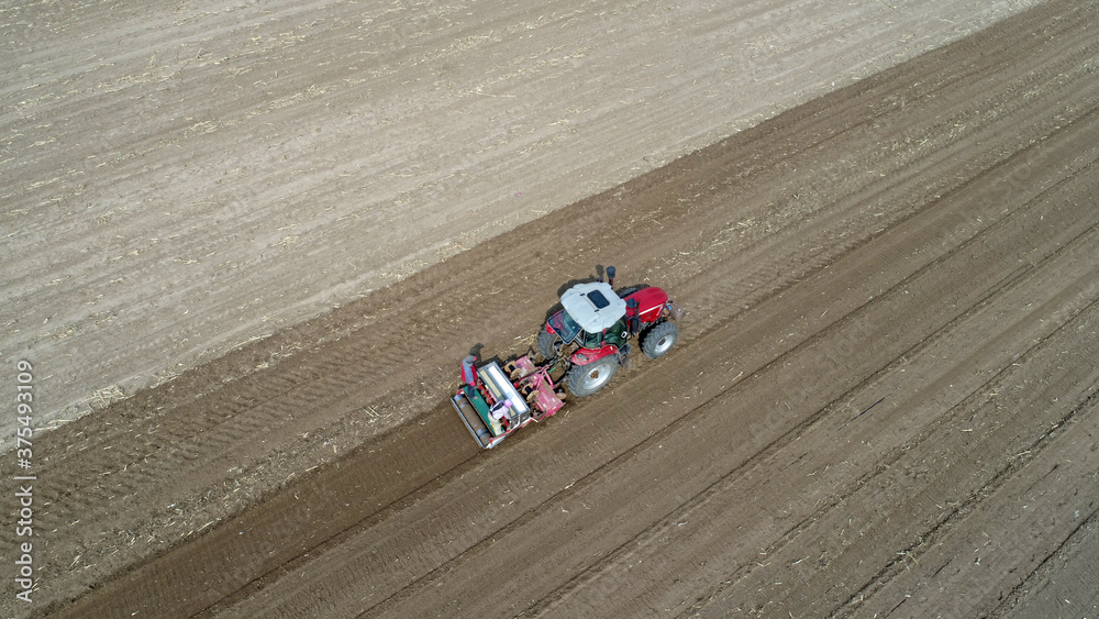 farmers use planters to grow potatoes on farms, LUANNAN COUNTY, Hebei Province, China