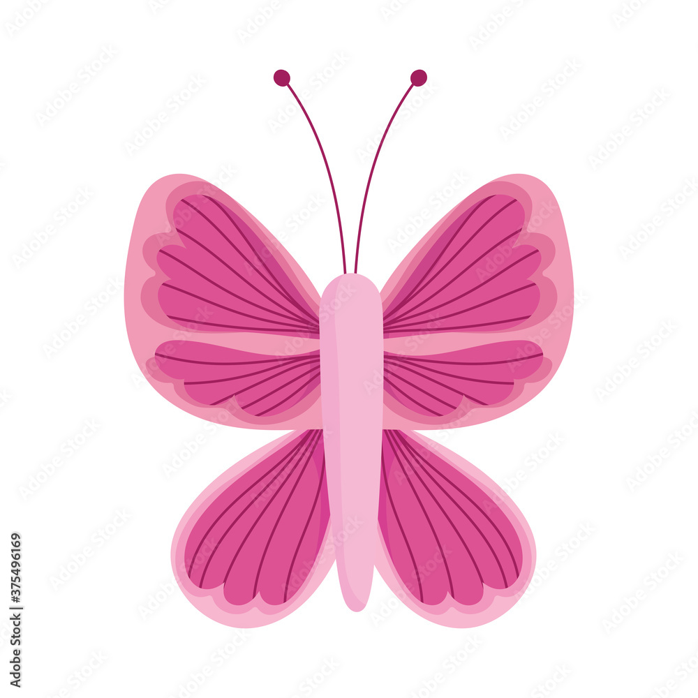 pink beautiful butterfly delicate insect isolated icon white background