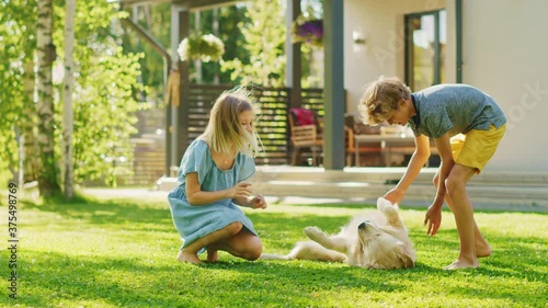 Two Kids Have fun with Their Handsome Golden Retriever Dog on the Backyard Lawn