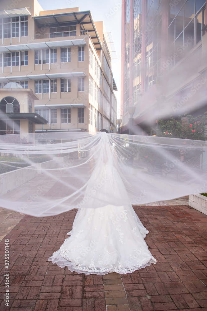 Latino Bride with veil open Latino Bride with veil open