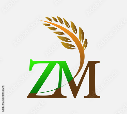 initial letter logo ZM, Agriculture wheat Logo Template vector icon design colored green and brown.