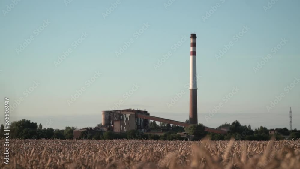 Wheat field and odl urban factory. Full HD footage Wheat field and odl urban factory. Full HD footage