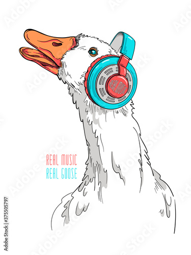 Cute funny goose with headphones. Stylish image for printing on any surface