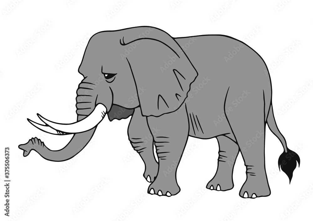 ゾウのイラスト ゾウのイラスト