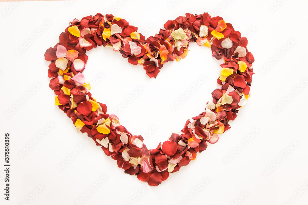 Multicolored heart shape with fresh rose petals on white background.