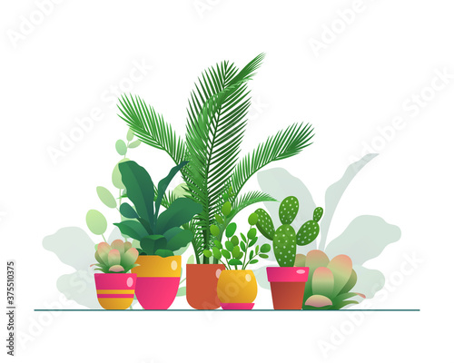Houseplants in flowerpots set. Group of tropical potted plants for home or office organic interior decoration, urban jungles concept flat vector illustration