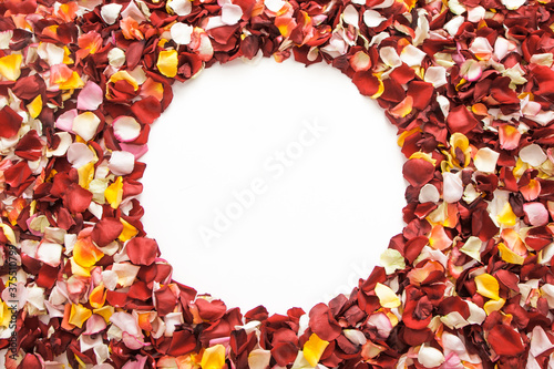 Colorful fresh rose petals in the shape of a circle on white background with space for text.