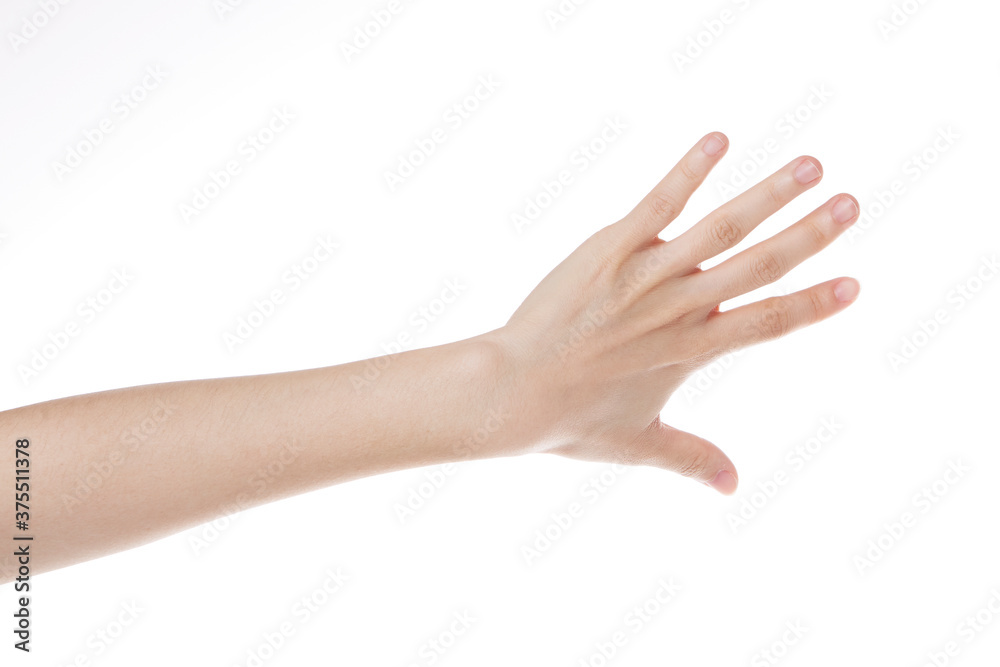 a woman's hand with her back showing her hand. a woman's hand with her back showing her hand.