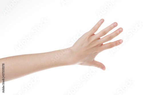 a woman's hand with her back showing her hand.