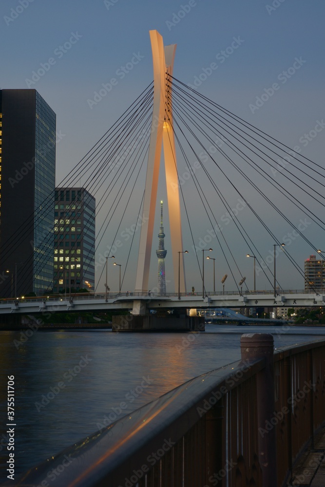 Obraz premium 佃公園から見る中央大橋ライトアップ 隅田川夕景 