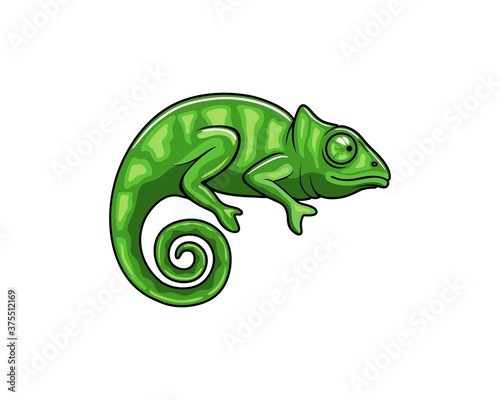 Beautiful green chameleon