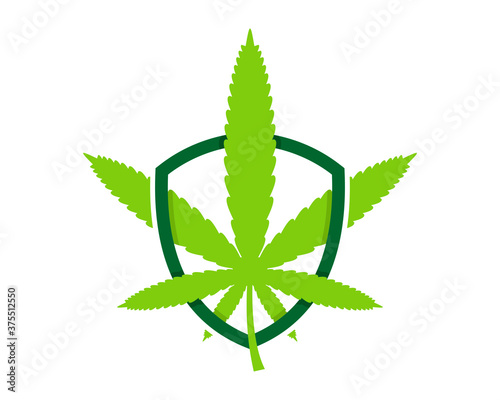 Cannabis leaf inside the shield protection