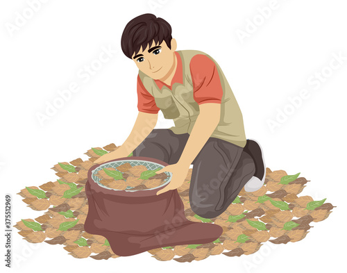 Teen Boy Entomology Leaf Litter Sampling Method