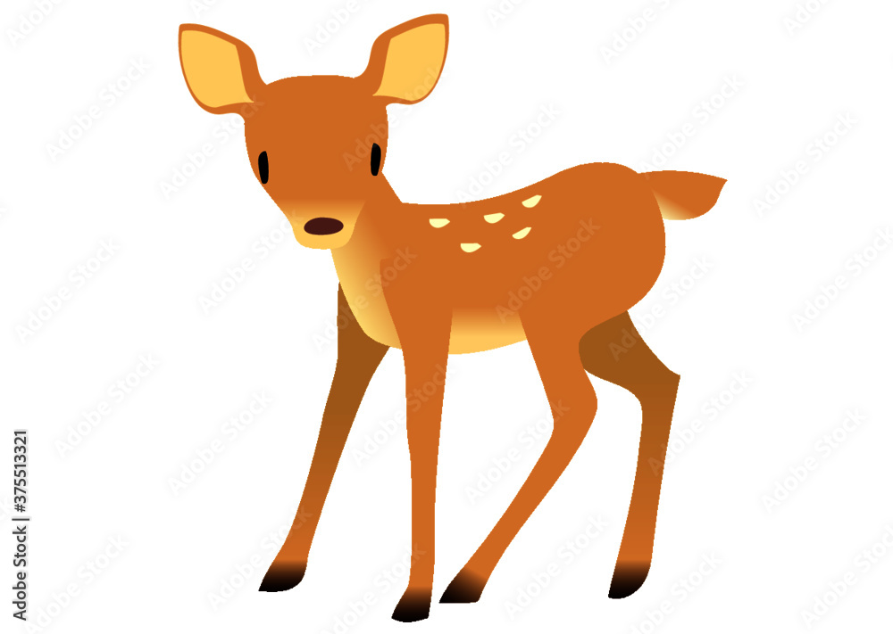 Fototapeta premium 子鹿