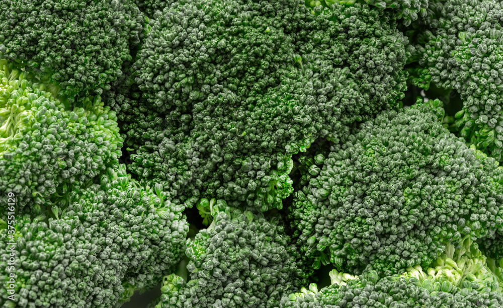 Close up of Fresh broccoli texture for background , Macro of green broccoli