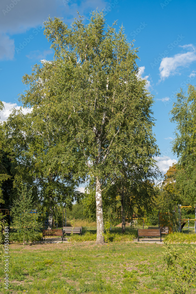 Landscape pictures of nature near the Park-estate of S. Rachmaninoff