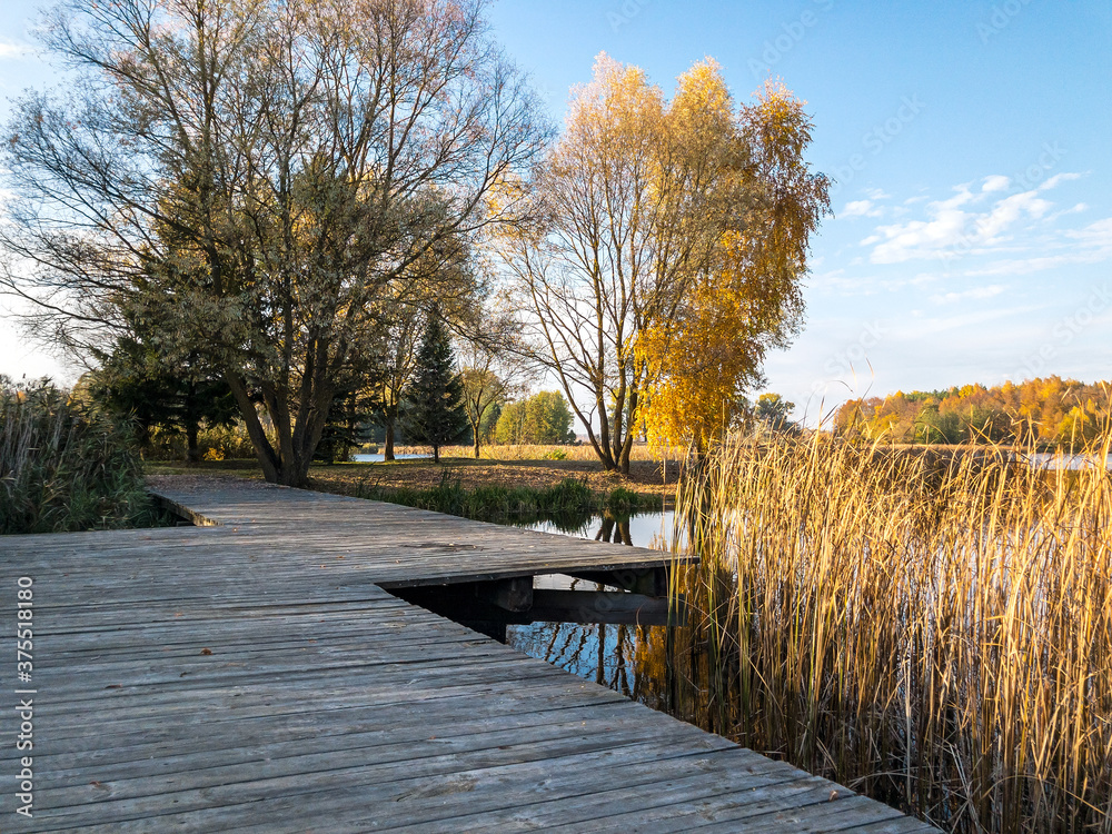 wooden footbridge across lake in the park. beautiful autumn landscape