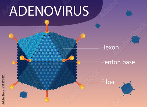 Adenovirus structure diagram on virus icon background