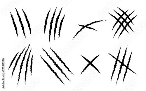 Set of claw scratches of animal on white background - Vector illustration.