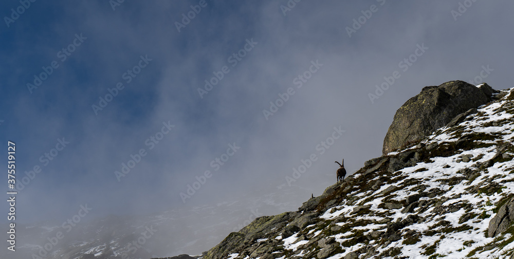 Bergwandern am grossen Sankt Bernhard Lacs de Tenetre