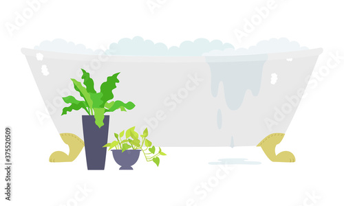 植物のある清潔な猫足のバスタブのイラスト。