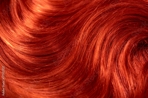 Carta da parati Red hair