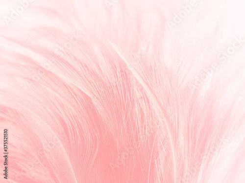 Beautiful abstract gray and pink feathers on white background   white feather frame texture on pink pattern and pink background  feather  pink banners