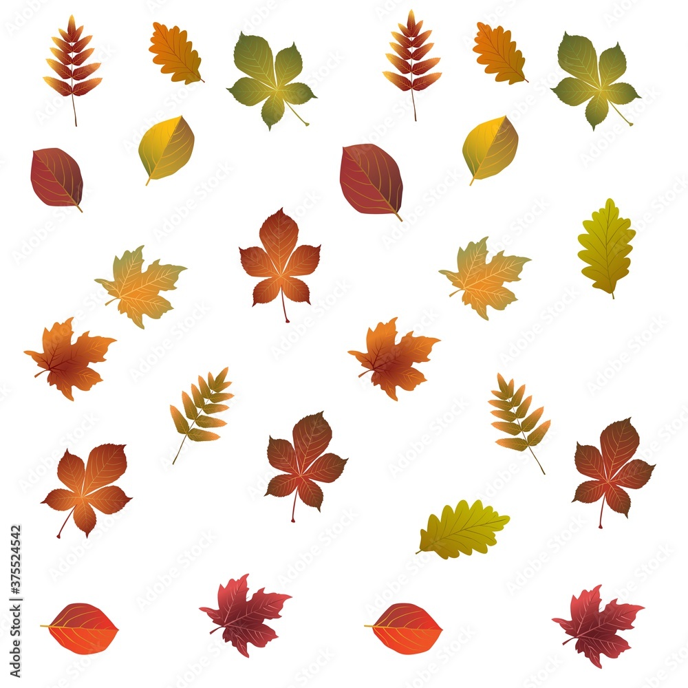 colorful autumn leaves set, isolated on white background. vector illustration.