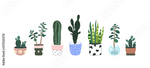 Cactus and succulent in flowerpot. Houseplants isolated. Trendy hugge style, urban jungle decor. Hand drawn. Set collection. Green, blue, pink, white, black colors. Print, poster, banner. Logo, label.