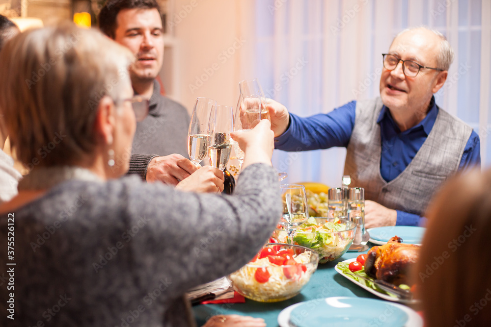 Back view of senior woman clinking a glass of wine with her family at christmas dinner. Back view of senior woman clinking a glass of wine with her family at christmas dinner.