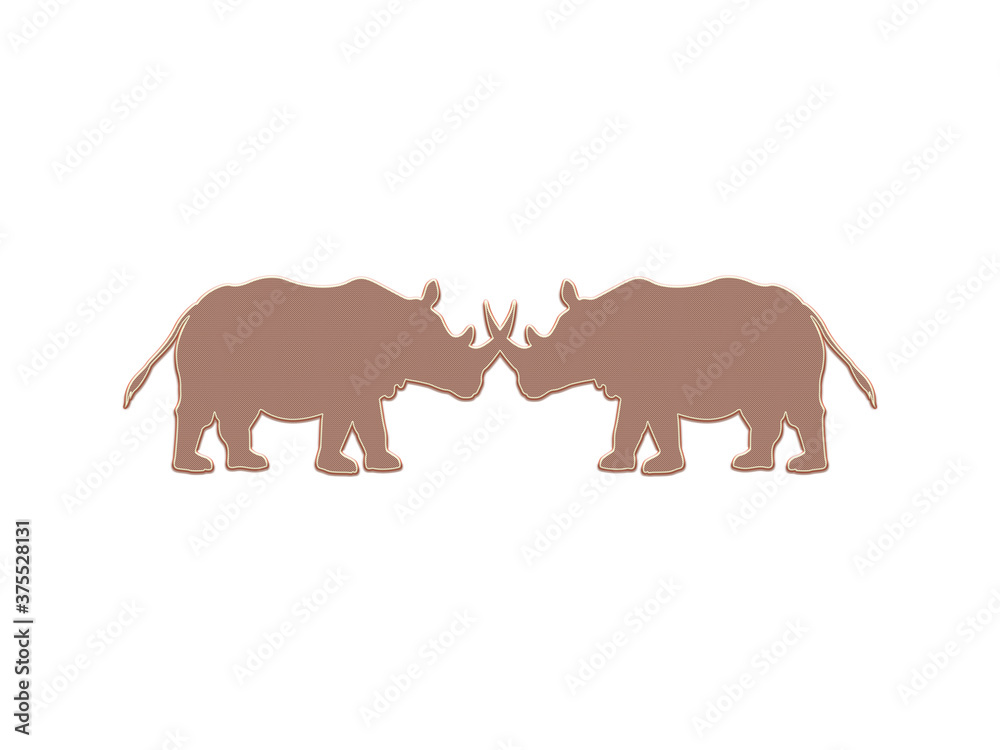 Fototapeta premium White Rhinoceros head to head