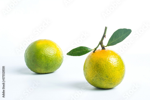 Tangerines on white background