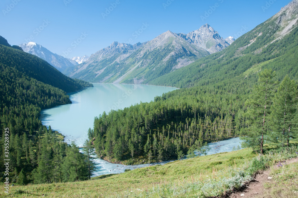 Morning view of Kucherlinskoye lake in summer surrounded by green forests and Altai mountains, the Altai Republic, Russia